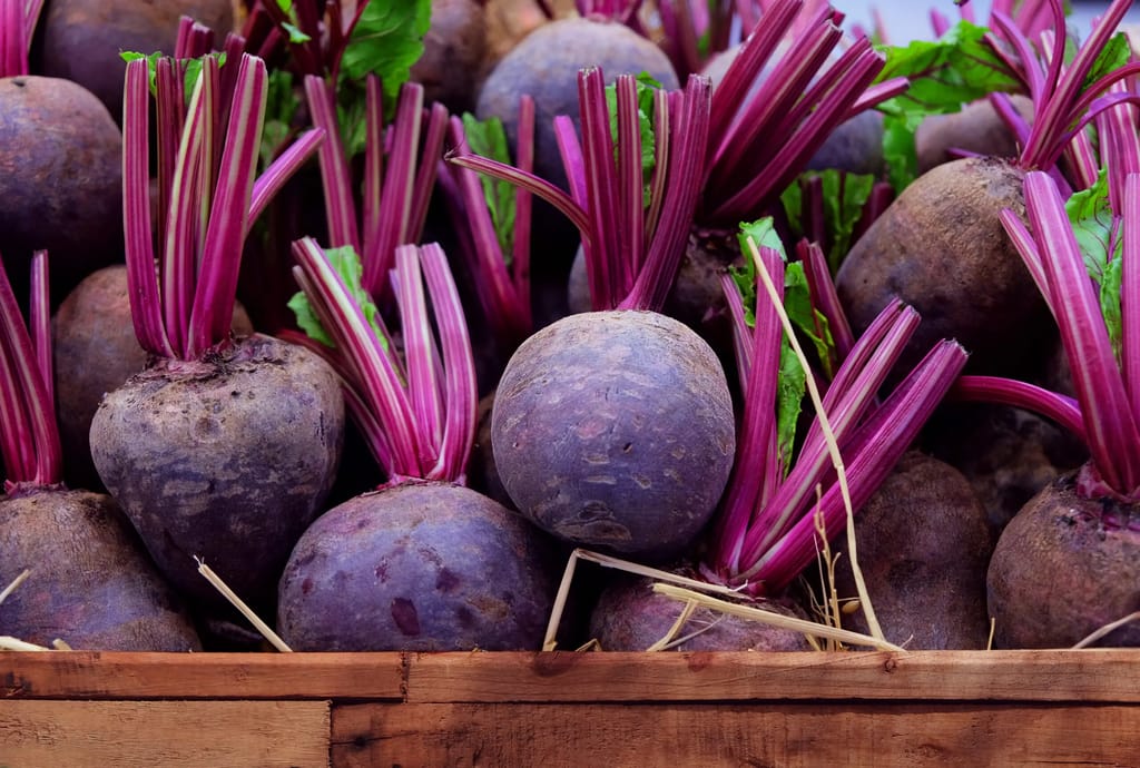 BEETROOT view 2