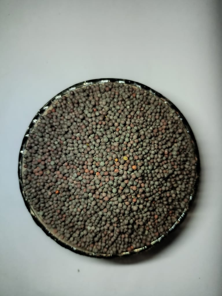 Black Mustard/ 1kg view 2