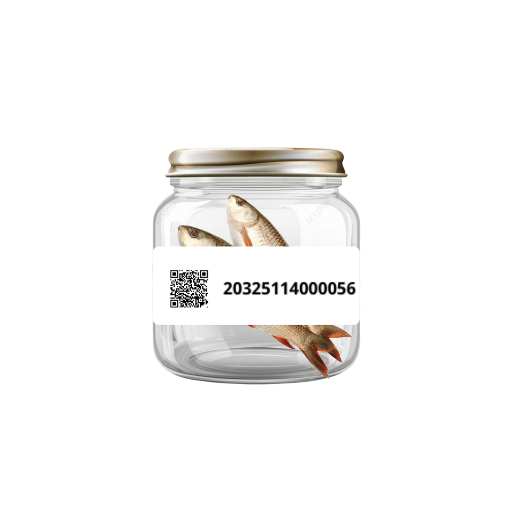 Rohu FIsh view 2