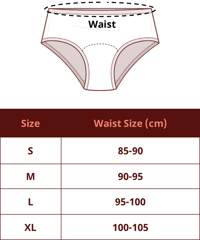 Reusable Period Panty (For Moderate to High Flow)
