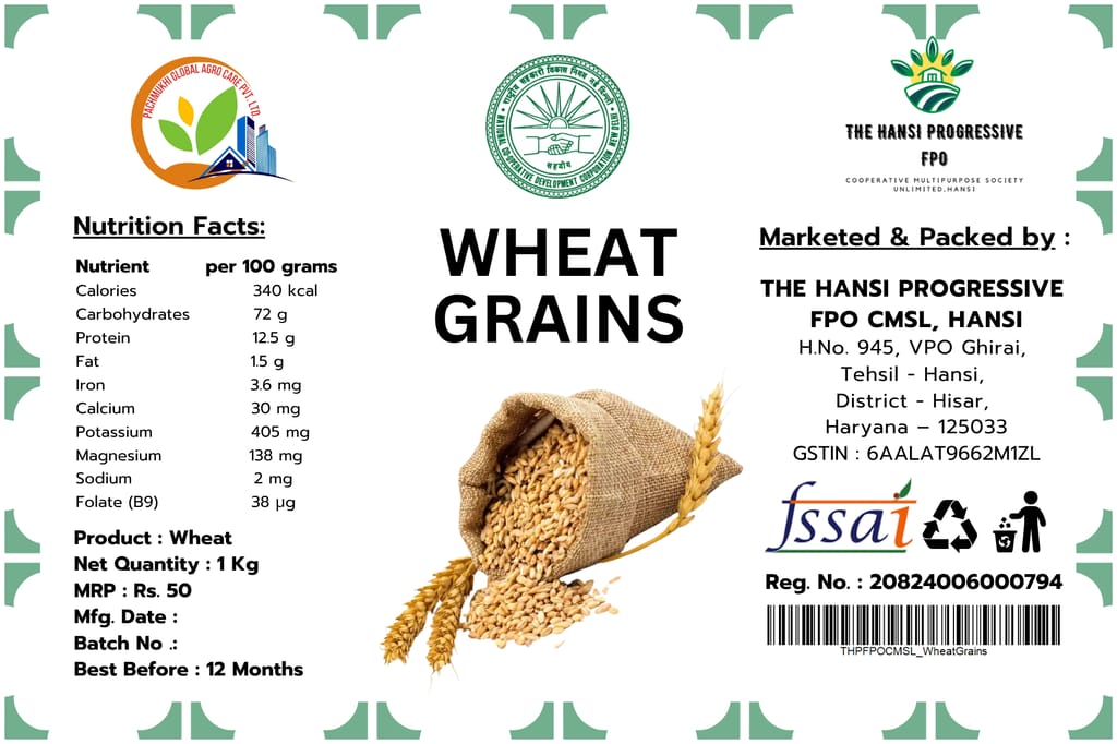 Wheat Grains view 2