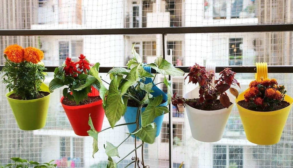 Clastik Vertical Hook Hanging Planter, Multicolour, 29.5 cm x 21.7 cm x 14.5 cm view 2