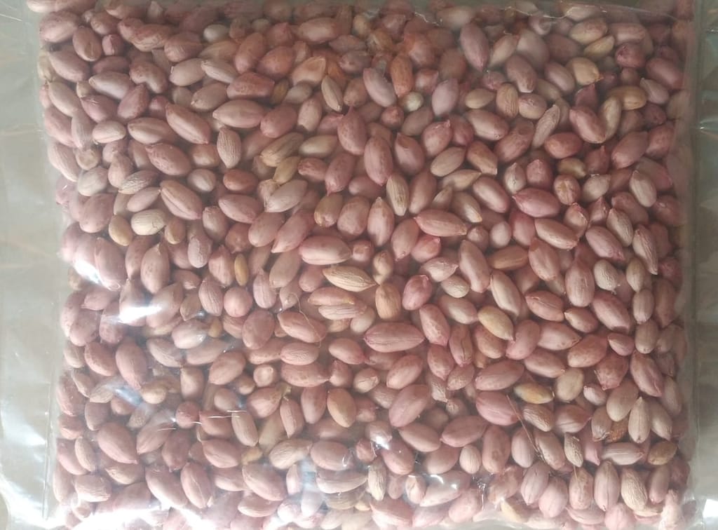 Groundnut view 2