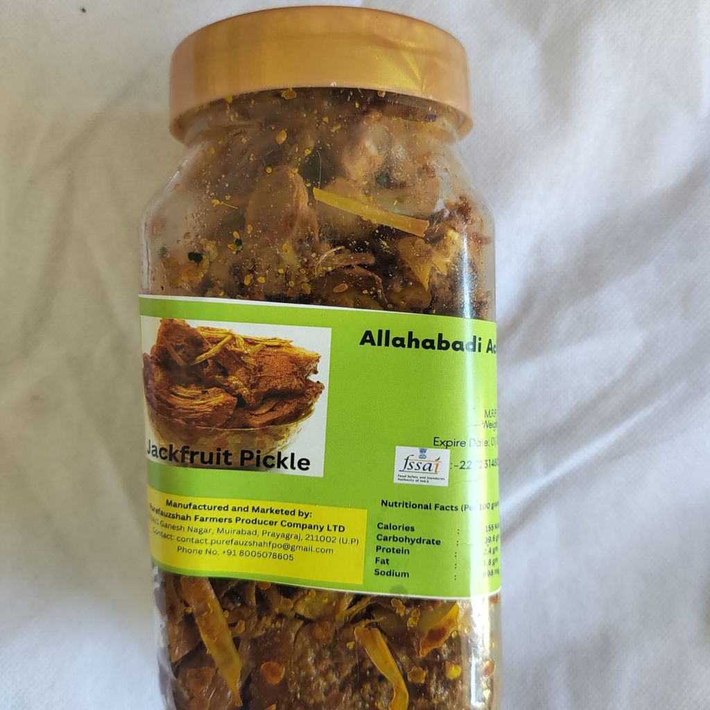 Kathal Pickle 250gm view 2