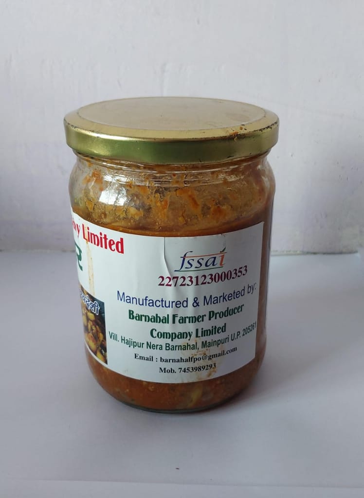 GARLIC PICKLE (500 GM) view 2