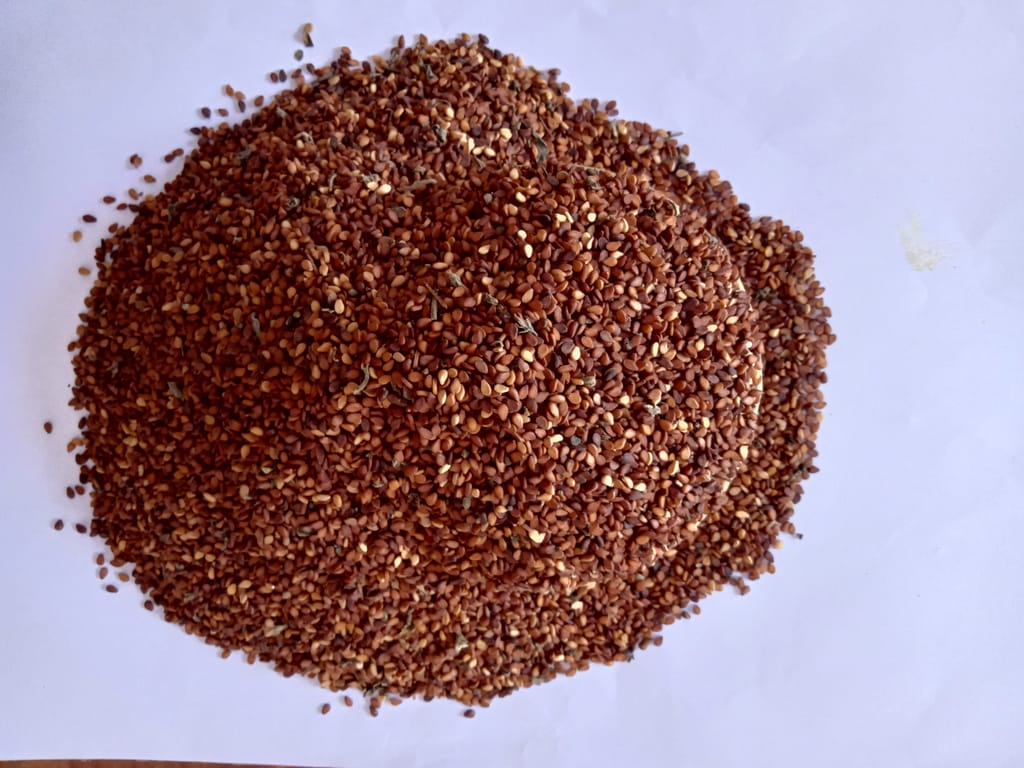 Sesame 200 gm view 2