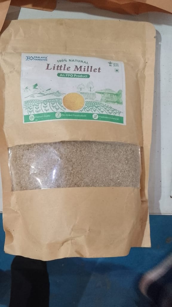 Little Millet view 2