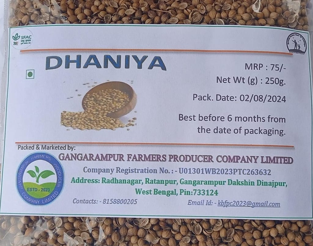 Coriander view 2