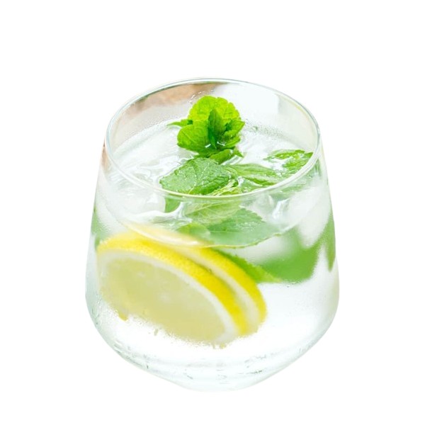 Lemon Mint Water