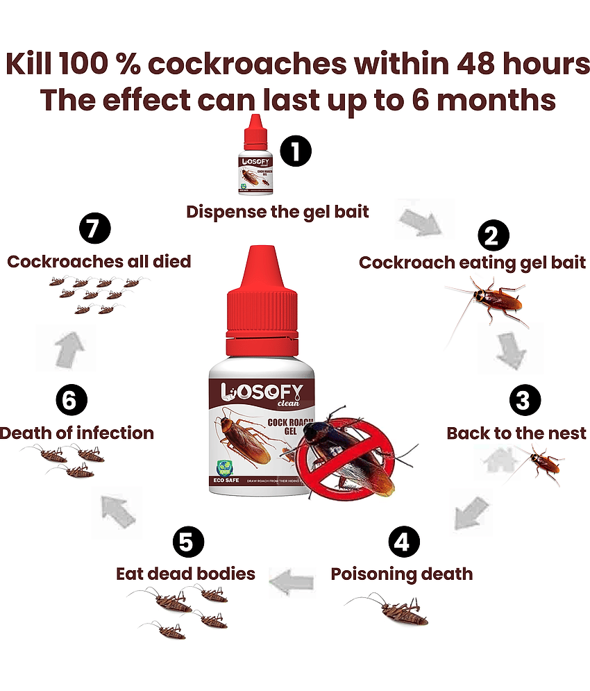 LOSOFY CLEAN Cockroach Lotion view 2