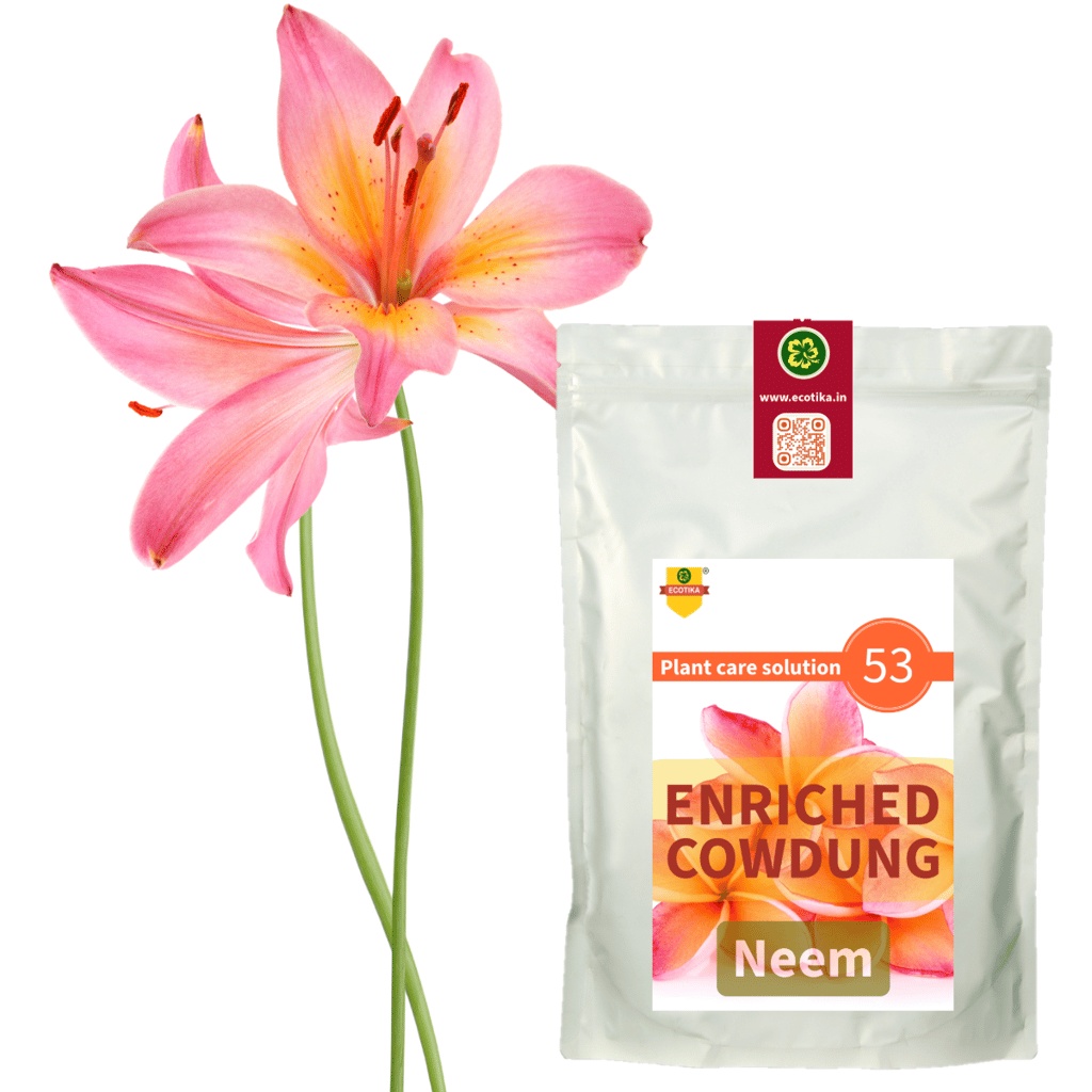 Cow dung enriched with neem oil cake | PCS53 | Organic Soil amendment for healthy plants view 2