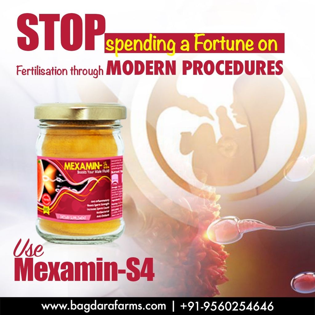 Mexamin-S4 view 2
