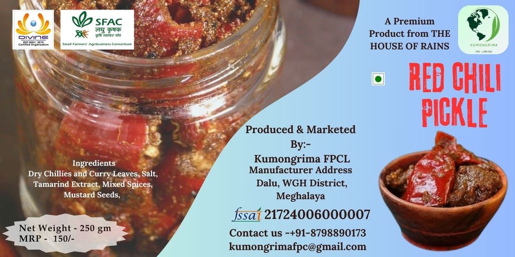 Red Chilli & Mango Pickle view 2