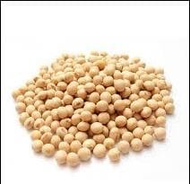Soyabean view 2
