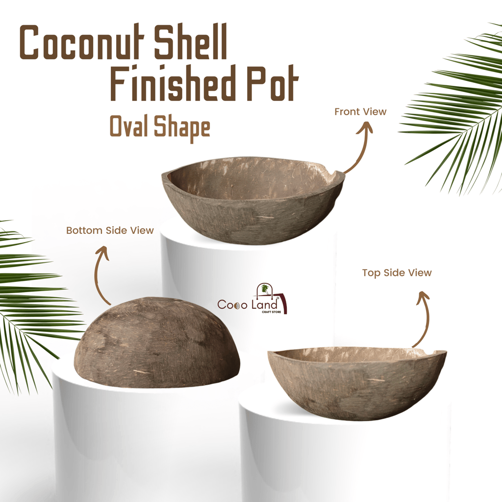 Coconut Shell Finished Oval Pot (100-150-250 ml) S-M-L | Size Decorative Pots,Candle Making,Candle Holder,Craft Making | Handicraft,Agricraft view 2