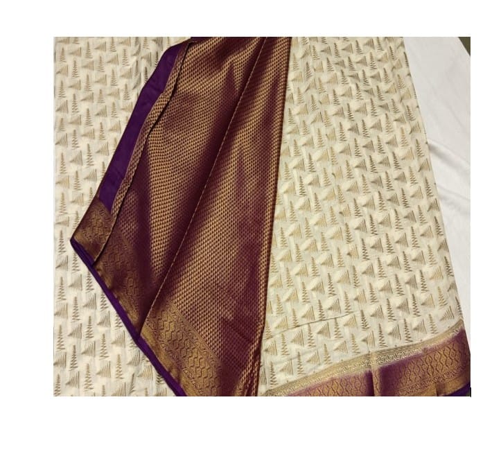 Traditional Indian Saree view 2