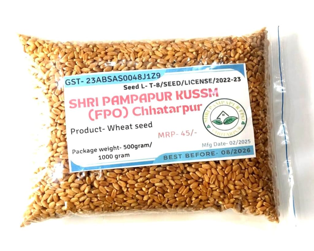 Wheat Seed view 2