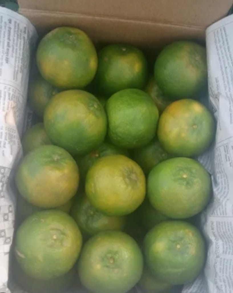 Fresh Green kinno - Juicy and Refreshing Direct from Field" view 2