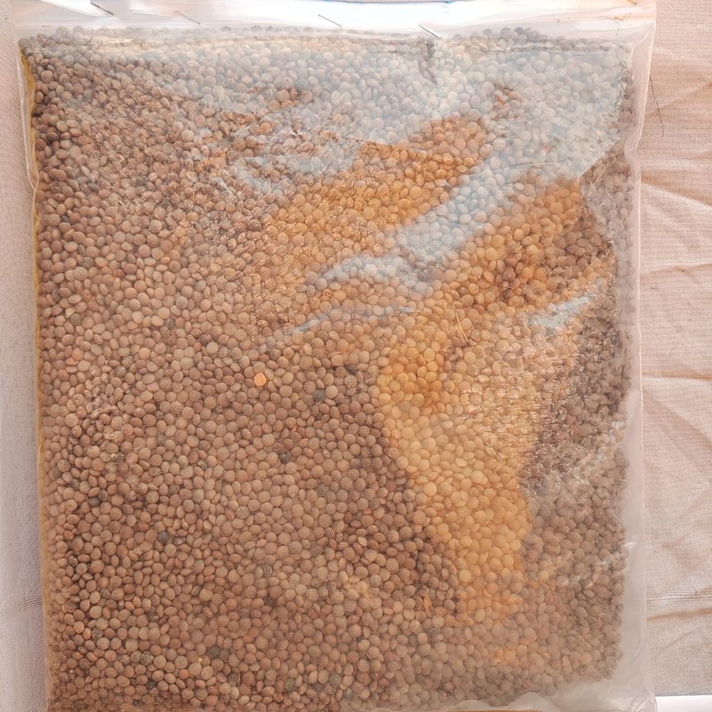 Masoor Whole 1 Kg view 2