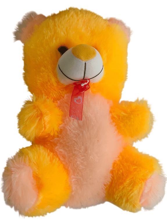 Teddy Bear Soft Toy view 2