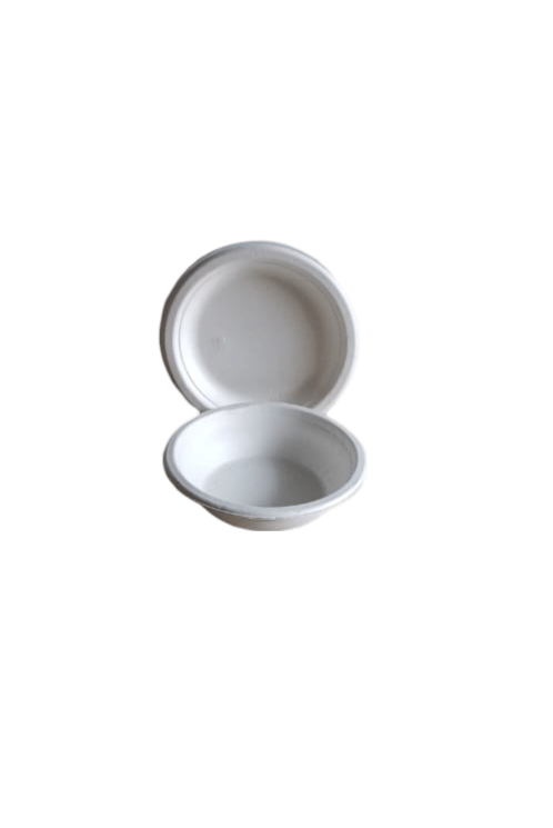 Eco-Friendly and Compostable Dinnerware Set view 2
