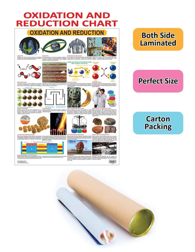 Oxidation & Reduction Wall Chart (Science Chart) - Both Side Hard Laminated (Size 48 x 73 cm) [Poster] Dreamland Publications view 2