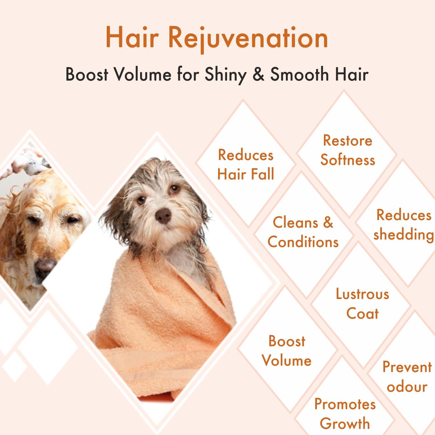 Bscly Volume & Shine with Argan & Olive Oil | Dog Shampoo for Pomeranian, Shih tzu Puppy, German Shepherd, Labrador & Golden Retriever, Dogs Shampoo, 200 ml view 2