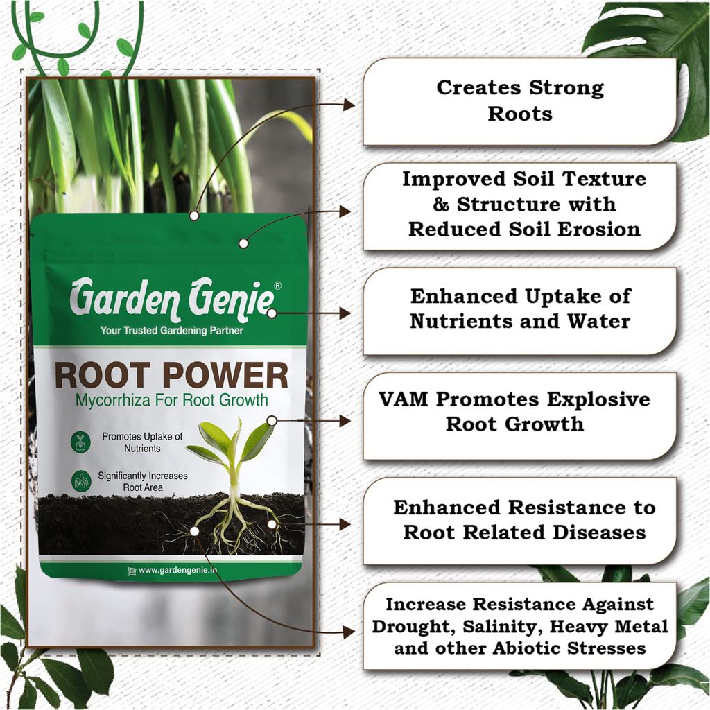 Garden Genie Root Power VAM Mycorrhiza Biofertilizer 800g - Root Stimulant Growth Booster and Development Fertilizer for Plants, Granules view 2