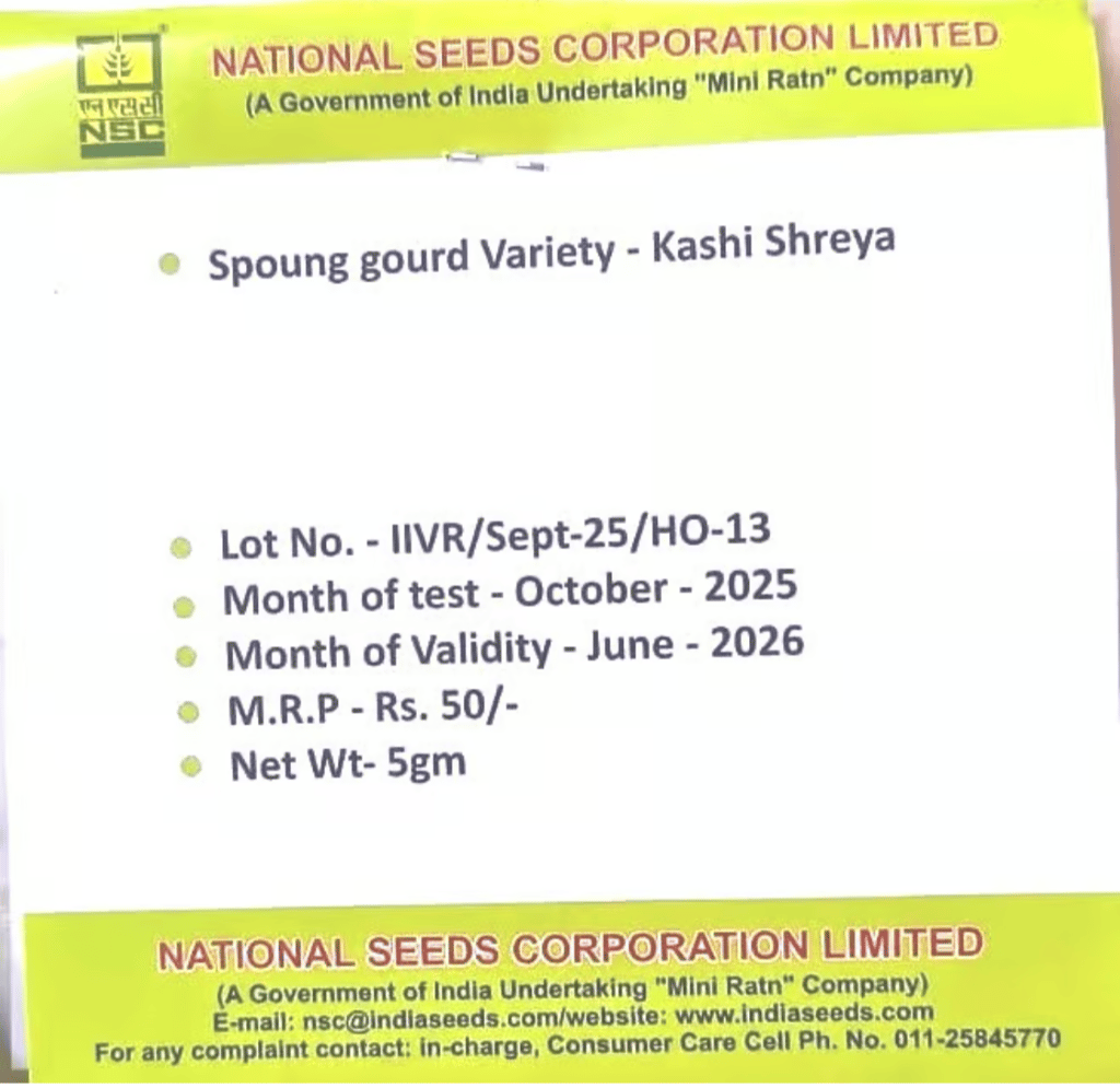 NSC Sponge Gourd, Kashi Shreya view 2