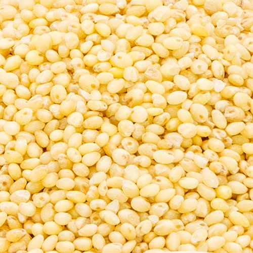 Millnuts - Proso Millet | Pani Varagu view 2