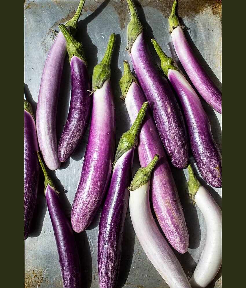 Brinjal Purple Long F-1 Hybrid Seeds for High Germination Vegetables Seeds - Pack of 50 view 2