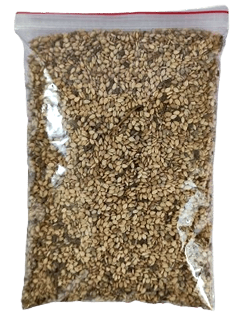 Sesame Seed | 500 gm view 2