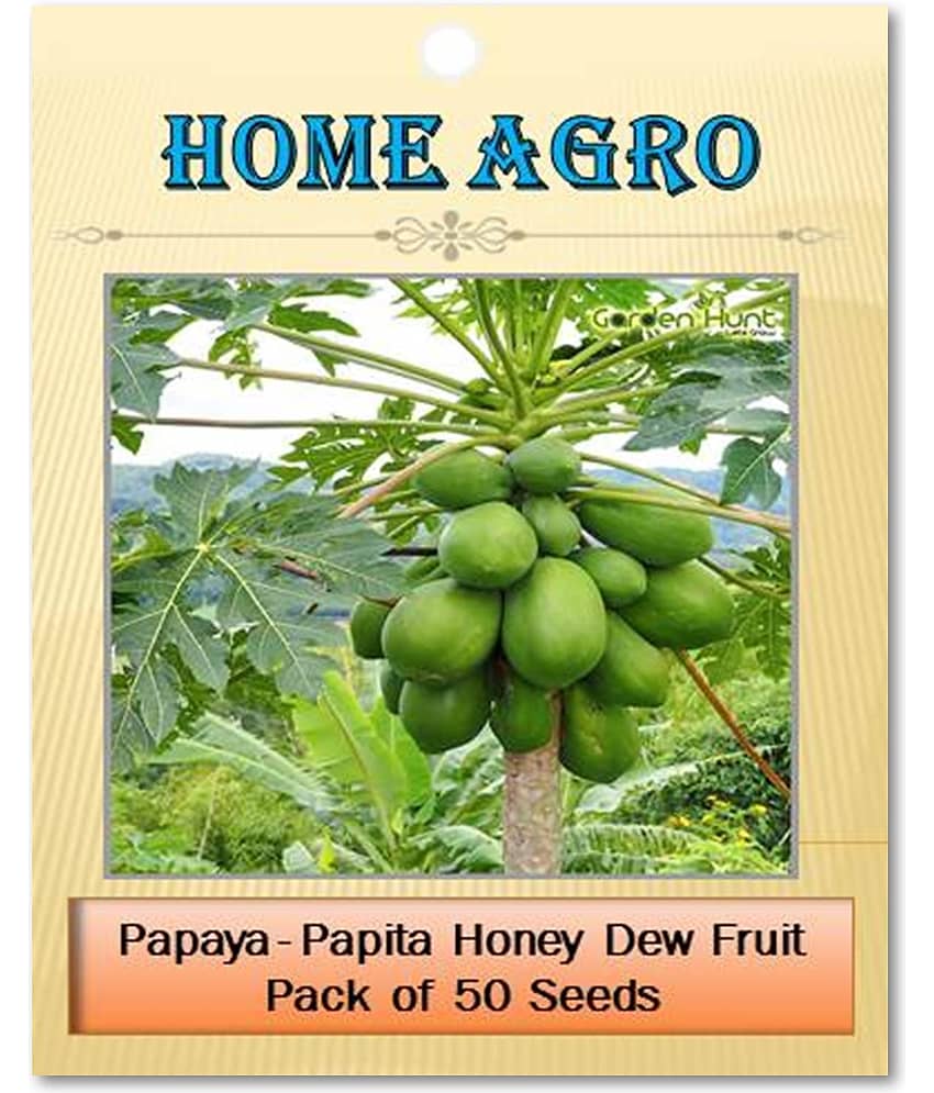 homeagro - Papaya Vegetable ( 50 Seeds ) view 2