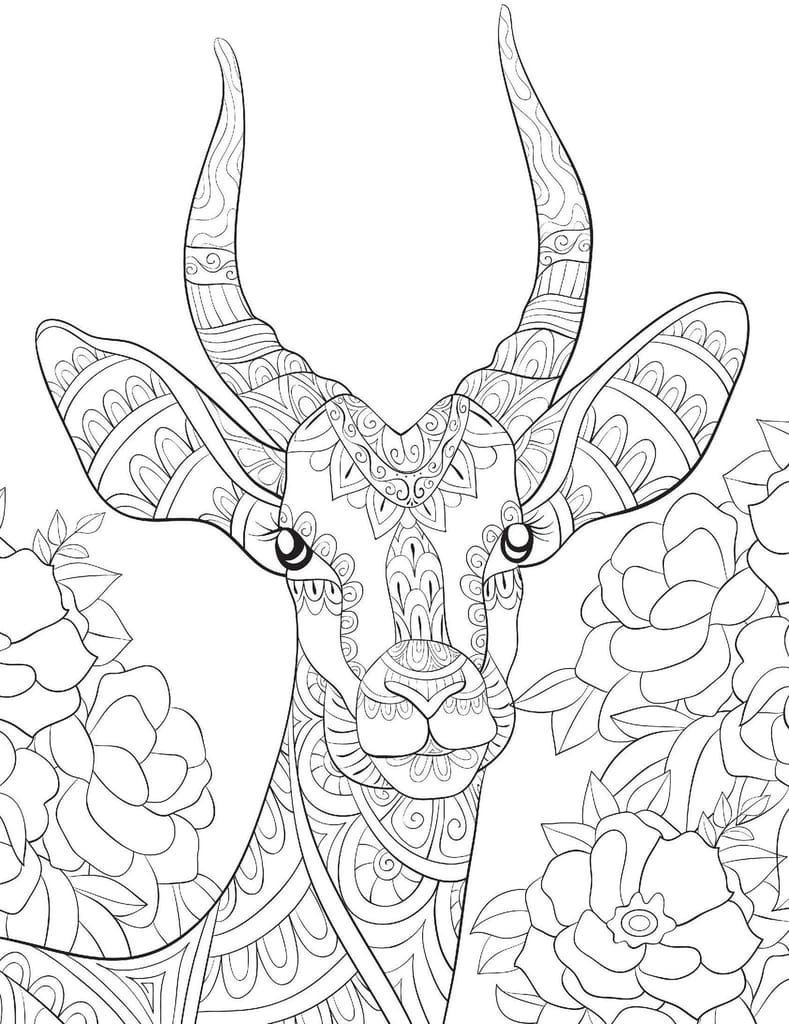 Wilderness- Colouring Book for Adults [Paperback] Dreamland Publications view 2