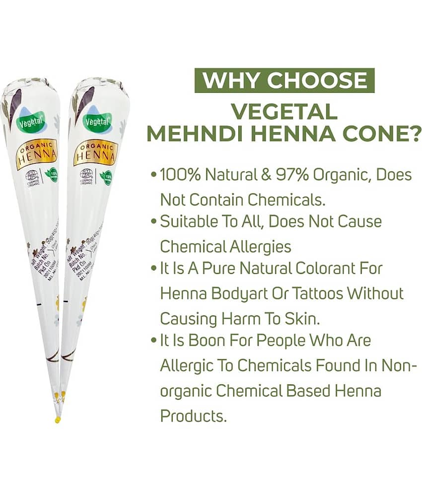 Vegetal Henna Mehandi Cone Pack of 1 Natural Henna 50 g view 2