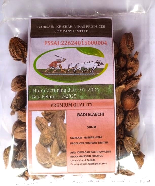 BADI ELAECHI (BLACK CARDAMOM) view 2