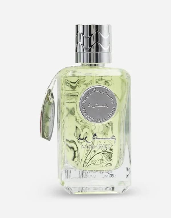 Dirham Silver by Ard Al Zaafaran Eau de Parfum for Men 100ml – Citrusy Fresh Woody Scent view 2