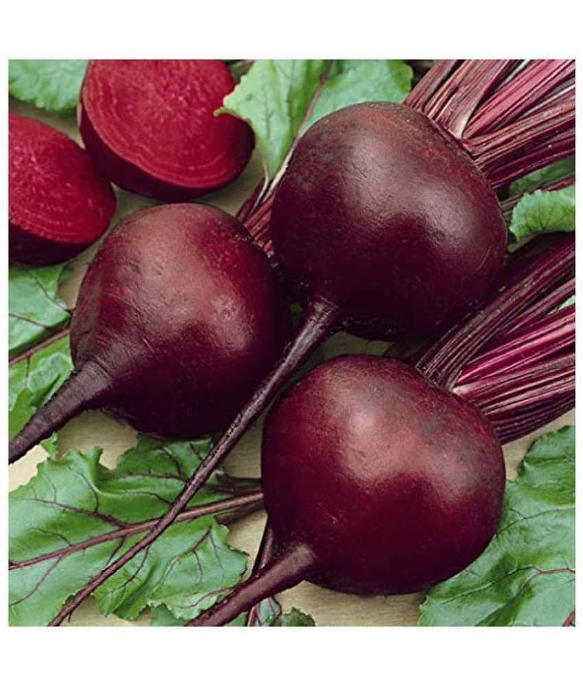 Beetroot Microgreens Organic Vegetable Seeds ( 50 Seeds per packet)