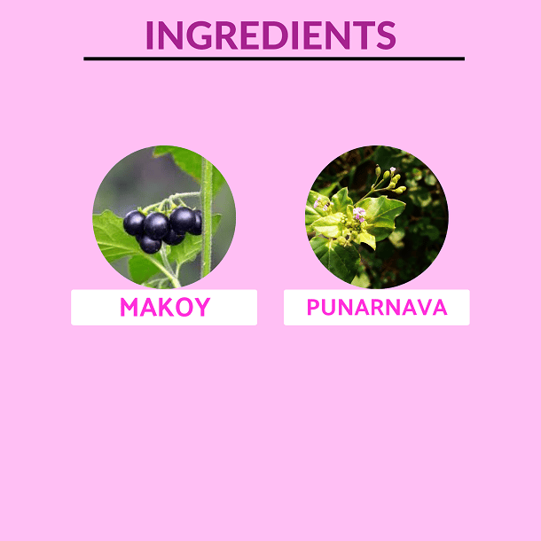 Bharat Gram Udyog Punarnava Makoy Juice - Kidney & Eye Health Support, 1 L view 2