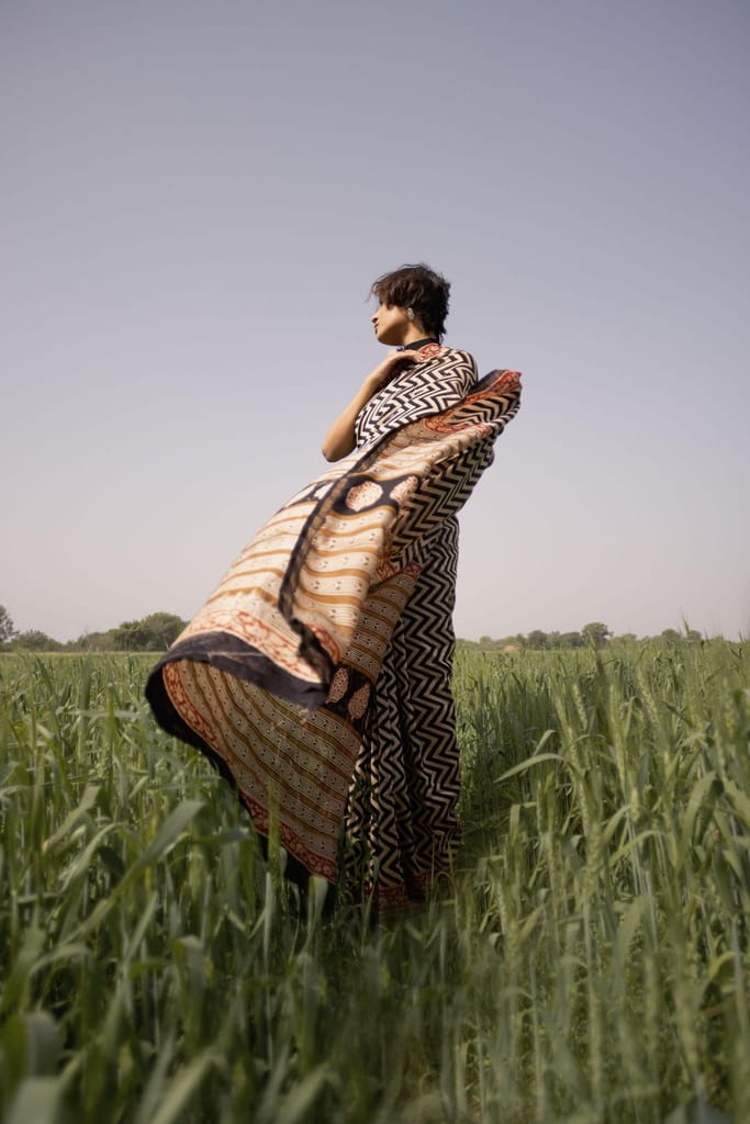 Roheda Chevron Syahi Begar Chanderi Saree view 2