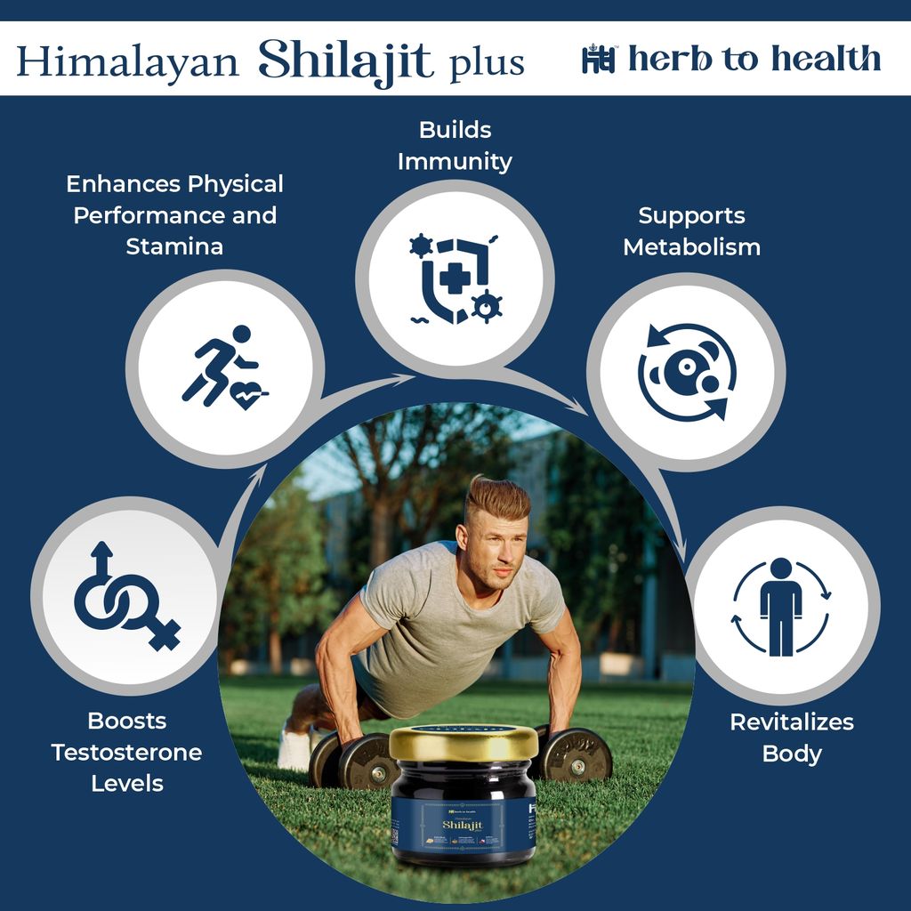 Herb to Health Himalayan Shilajit Plus Resin 30g view 2