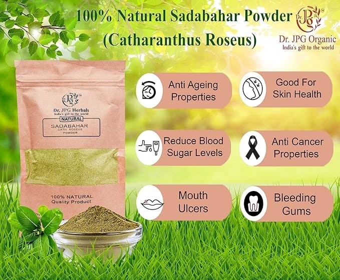 Dr. JPG Organic Herbals Natural Sadabahar leaf Powder-200g / Catharanthus Roseus/Nithyakalyani/Vinca Rosea Shade Dried Leaves/ISO & FSSAI Certified. (200G) view 2