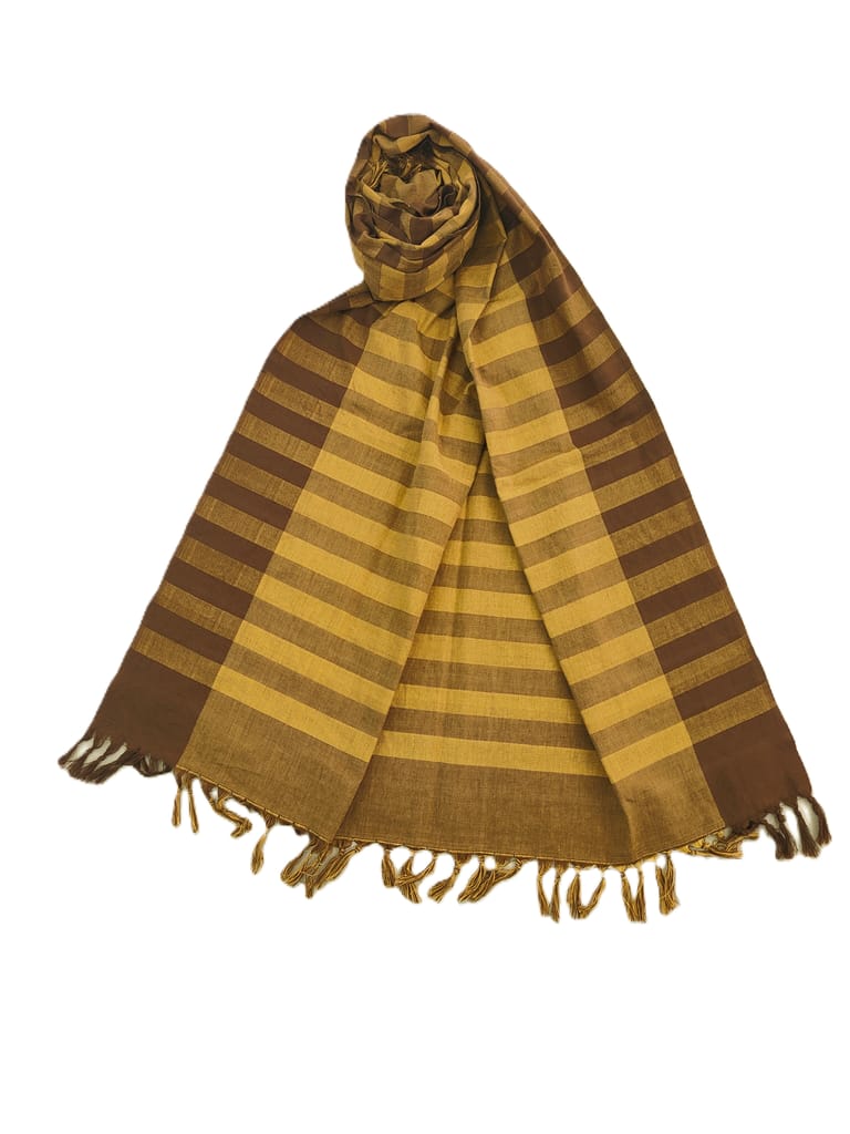 Dhaga Vishwas Ka Handloom Cotton Stole view 2