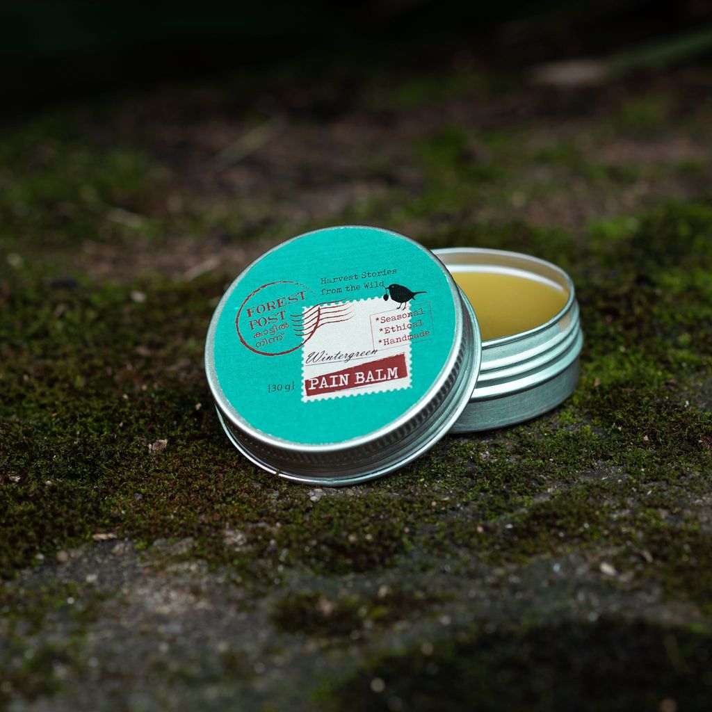 Beeswax Wintergreen Balm (30 Gram) (1TOROTHTN03194) view 2