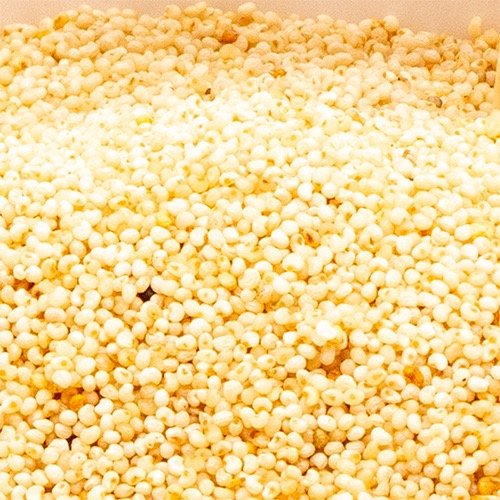 Millnuts - Poppy Seeds view 2