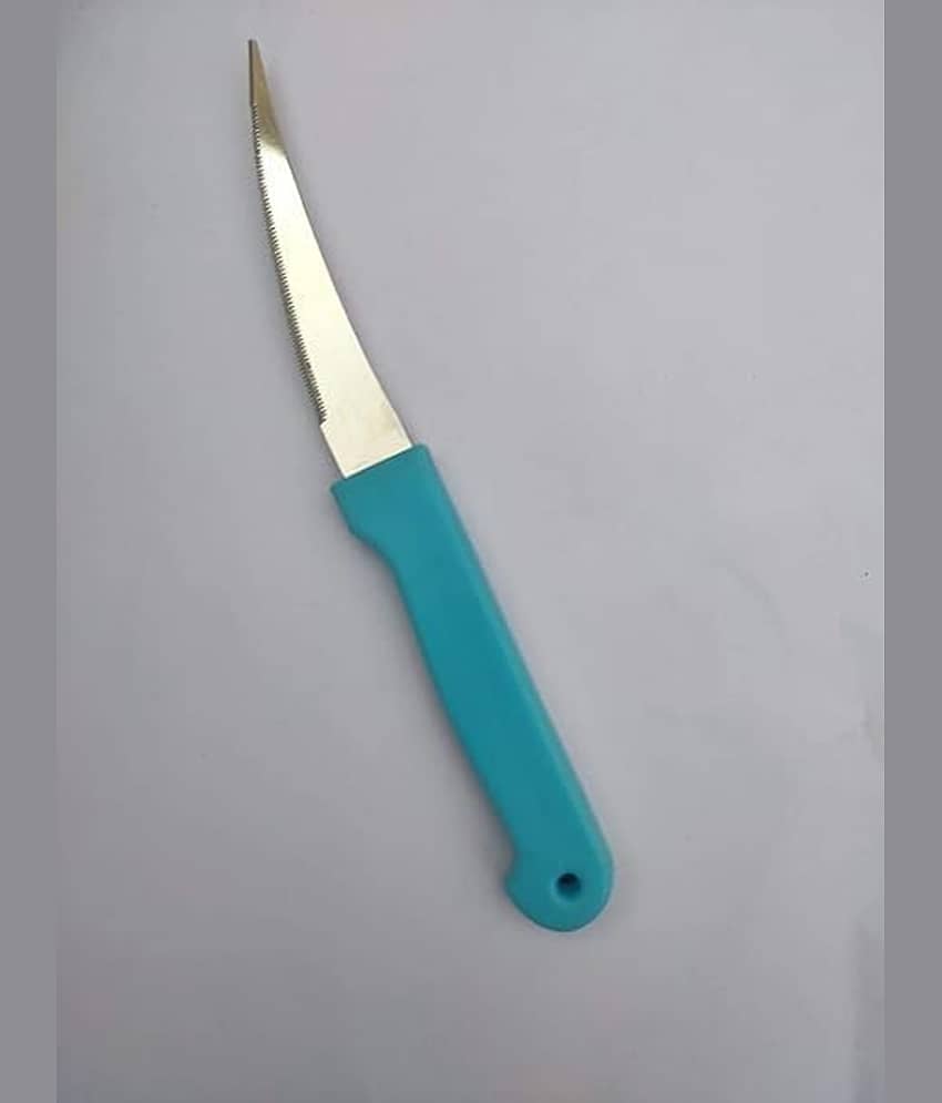 Professional Paring Knife, Steel Blade with Plastic Handle, Curved Design for Vegetables and Fruits (Blue) view 2