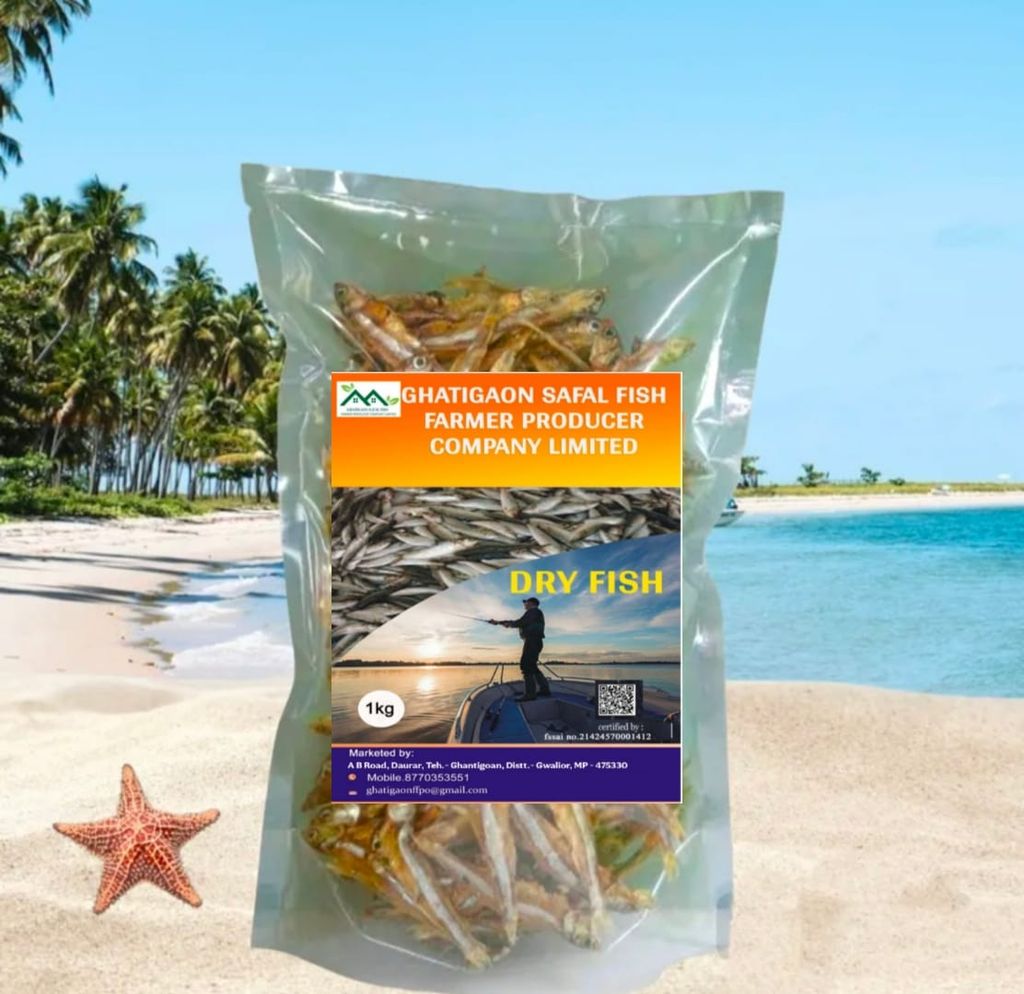 Dry Fish view 2