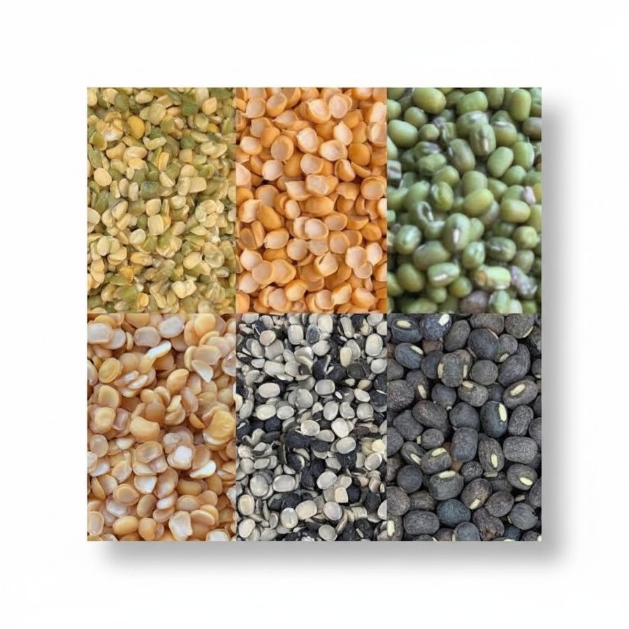 Assorted Pulses and Dals Mix - 100 kg - One bulk bag view 2