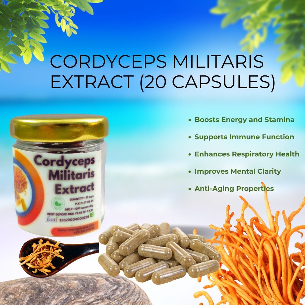 Cordyceps Militaris Extract view 2