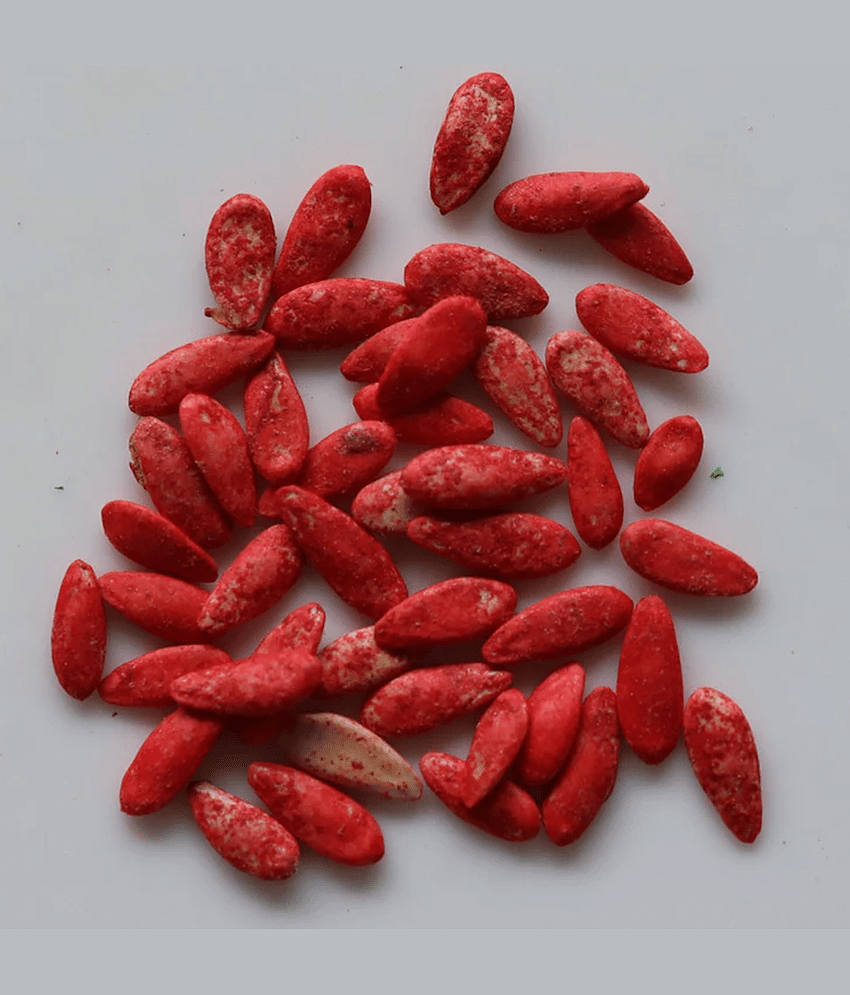 PARTHVA SEEDS Hybrid Cucumber Fruit ( 100 Seeds ) view 2